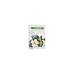 1x Set de 6 Velas de Té Perfumadas - Relajación | HogarLider