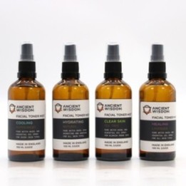 Hidratante Facial Puro 100ml | HogarLider