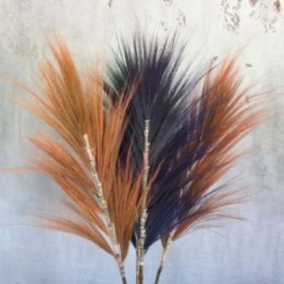 Palmera Lavanda de Rayung - 1.6m —… · AW-PamG-06 | HogarLider