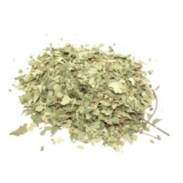 Abedul (hoja cortada) 1Kg | HogarLider