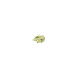 Laurel (hoja entera) 250gr | HogarLider