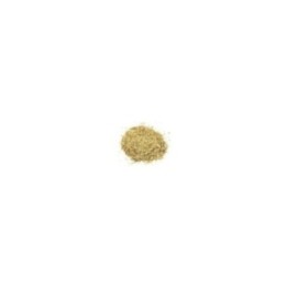 Sauco (flor) 1Kg | HogarLider