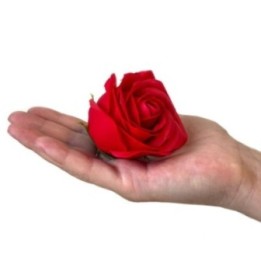 Caja de Regalo - Flor de Jabón 9… · AW-GSFB-01 | HogarLider