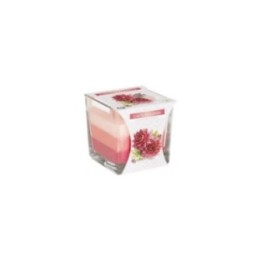 Rainbow Jar Vela - Flor de cactus | HogarLider
