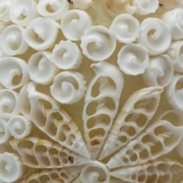 Lámpara Boho de Conchas Marinas… · AW-BBSL-10 | HogarLider