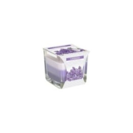 Vela Tarro Arcoiris - Lavanda | HogarLider