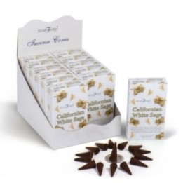 conos de Salvia Blanca de California | HogarLider