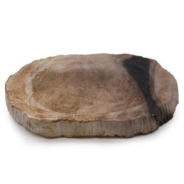 Jabonera Negra de Madera Petrificada | HogarLider