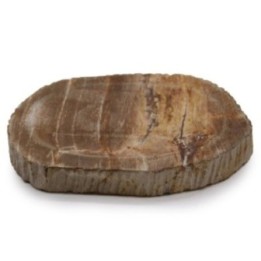 Jabonera Marrón Madera Petrificada | HogarLider
