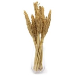 Manojo de Hierba Cantal - Natural | HogarLider