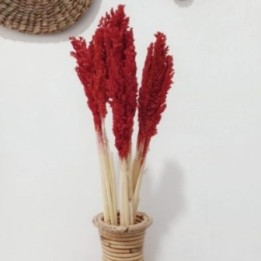 Manojo de hierba Cantal - Fuego | HogarLider