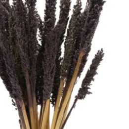 Manojo de Hierba Cantal - Negro —… · AW-CGB-10 | HogarLider