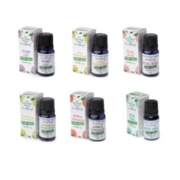 Pack de 6 Aceites Aromáticos a base… · AW-SPBAO-se… | HogarLider