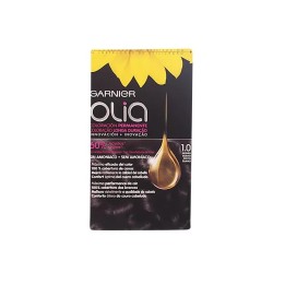 Garnier Olia Permanent Coloring 1,0 Black Ebony | HogarLider