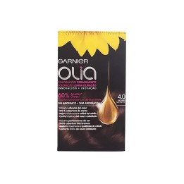 Garnier Olia Permanent Coloring 4,0 Castaño | HogarLider