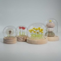 Domo de jardín Floral Glow - 10… · AW-FGGD-03 | HogarLider