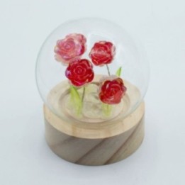 Domo de jardín Floral Glow - 5… · AW-FGGD-09 | HogarLider