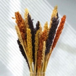 Racimo de Hierba Cantal - Naranja | HogarLider