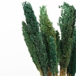 Manojo de hierba Cantal - Verde Azulado | HogarLider