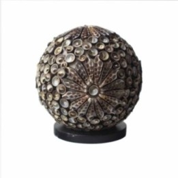 Boho Sea Shell Lamp - Chocolate… · AW-BBSL-05 | HogarLider