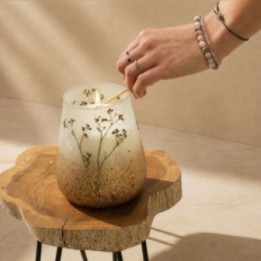Velas en tarro de vidrio alto - Wildlight Woods | HogarLider