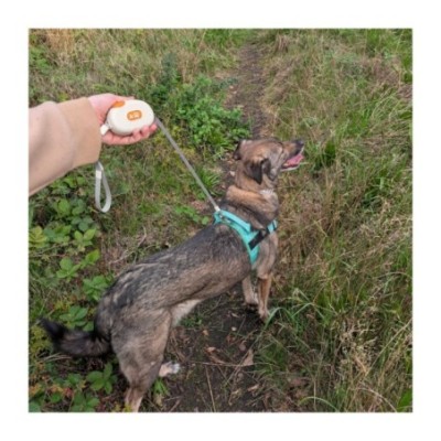 Correa Paw Pet - Pocket Pod - Blanco - 1.5m