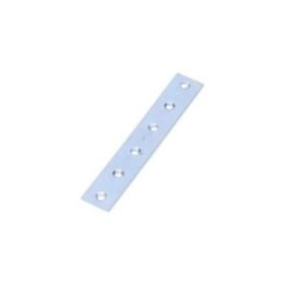 PLETINA ZINCADA 120 x 19 x 2 mm | HogarLider