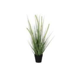 MACETA DE HIERBA DOGTAIL, 54 x 13 x 12 cm | HogarLider