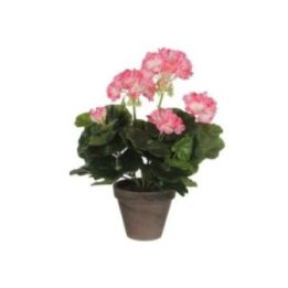 MACETA DE GERANIO BLANCO ROSADO, Ø11,5 x 33 cm | HogarLider
