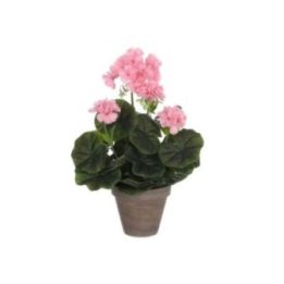 MACETA DE GERANIO ROSA, Ø11,5 x 33 cm | HogarLider