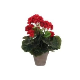 MACETA DE GERANIO ROJO, Ø11,5 x 33 cm | HogarLider