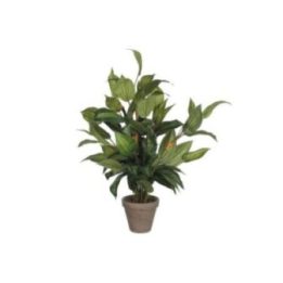 MACETA DE HOSTA VERDE, 15,5 x 65 cm | HogarLider