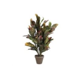 MACETA CROTON VERDE, 73 x 40 cm | HogarLider