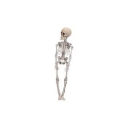 FIGURA ESQUELETO HALLOWEEN 42 cm | HogarLider