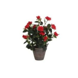 MACETA DE ROSAL ROJO, Ø11,5 x 33 x 25 cm | HogarLider