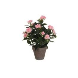 MACETA DE ROSAL ROSA, Ø11,5 x 33 x 25 cm | HogarLider