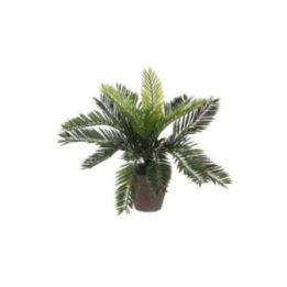 MACETA DE PALMERA SAGO CYCA… · EL3-83355 | HogarLider