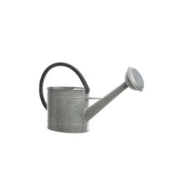 REGADERA DE ZINC 5 L | HogarLider