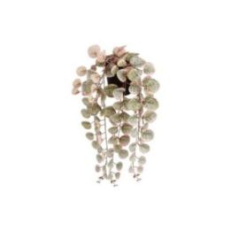 MACETA COLGANTE CEROPEGIA WOODII… · EL3-90805 | HogarLider