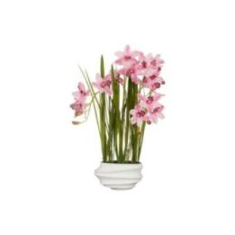 MACETA CYMBIDIUM ORQUIDEA BARCO… · EL3-90806 | HogarLider